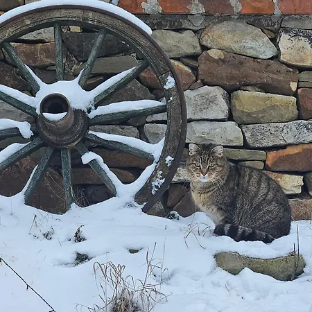 Holiday home Statek U Simla