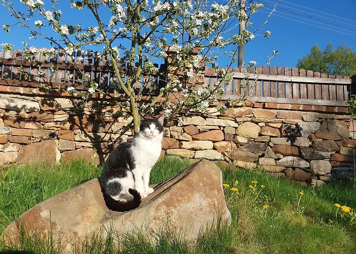 Statek U Simla Lazovice